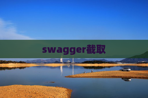 swagger截取 swagger截取